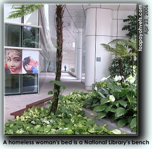 Singapore's National Library HQ has 2 wooden benches. Toa Payoh Vets 