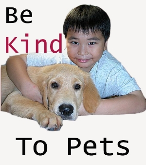 Be Kind To Pets - Singapore