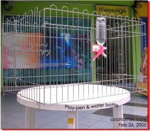 A playpen commonly used as Singapore's puppy housing. Toa Payoh Vets