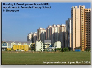 New HDB Housing Estate & Fernvale Primary School. Toa Payoh Vets