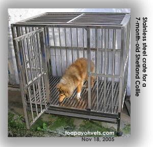 Stainless steel cage 4 feet wide, for bigger breeds, Sheltie. Toa Payoh Vets