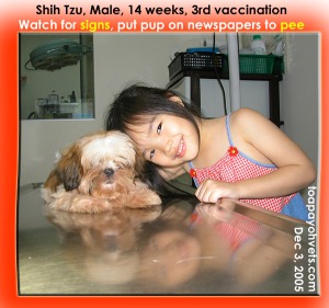 Watch for signs of peeing, put on newspapers. Paper Trained in 2 weeks. Toa Payoh Vets.
