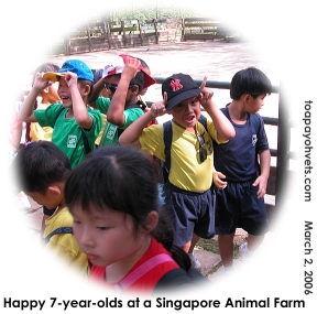 Singapore's Primary One students at an Animal Farm. Sunny evening. Happiest children.  Toa Payoh Vets.