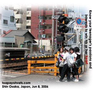 A busy railway crossing. Trains every few minutes. Bright cool summer's day at Shin Osaka Jun 8 06. Toa Payoh Vets