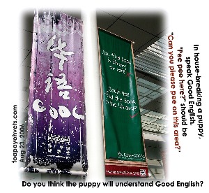 Speak Good English campaign may not be practical for housebreaking a puppy. Toa Payoh Vets