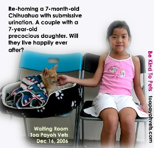 Toilet-training & other routine are needed if rehoming is to succeed. Toa Payoh Vets