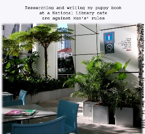 Singapore National Library's Han's Cafe at 9 a.m is peaceful. Toa Payoh Vets 