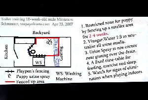 Restrict a backyard zone to succeed in toilet training the puppy. Toa Payoh Vets