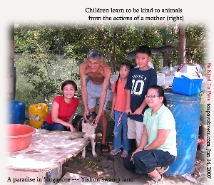 Lynda Goh (right) rescuing the swamp dogs of NANAS. Toa Payoh Vets