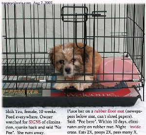 Crate as toilet training for first-time puppies. Toa Payoh Vets