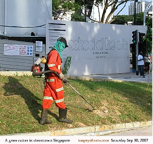 Singapore's masked Grass Cutter. Toa Payoh Vets 