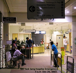Singapore's Tan Tock Seng Hospital in Dec 2007. Toa Payoh Vets