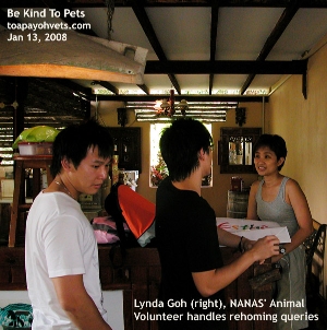 NANAS may be the last no-kill animal shelter for some dogs needing rehoming. Lynda Goh. Animal volunteer. Toa Payoh Vets