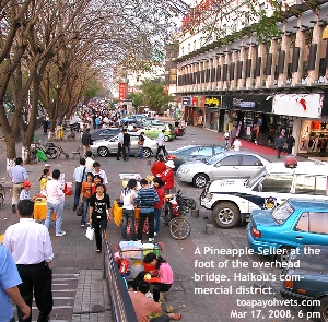 Haikou's commercial district permits street vendors 