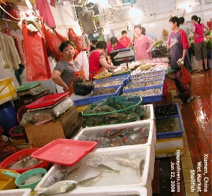 Wet Market, Xiamen, China. Fishes, Shellfish. Toa Payoh Vets