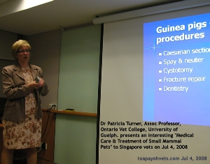 Dr Patricia Turner, Associate Professor, Ontario Vet College, Lecture, Singapore Vets. Toa Payoh Vets