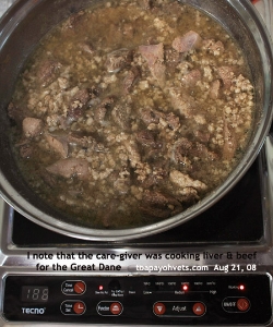 Caregiver Janny cooks liver and beef for the Great Dane. Toa Payoh Vets