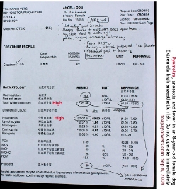 Pyometra. High white blood cell count. Fever. Anorexia 2 weeks. 8-year-old Chihuahua female. Toa Payoh Vets