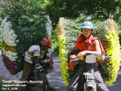 Pyin Oo Lwin flower delivery boys going to roadside vendors