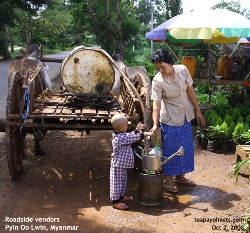 Roadside vendors, fruits, vegetables, flowers, Myanmar_Pyin_Oo_Lwin_ToaPayohVets