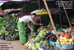 Mynamar flowers, fruits and vegetables, Pyin Oo Lwin, Toa Payoh Vets 