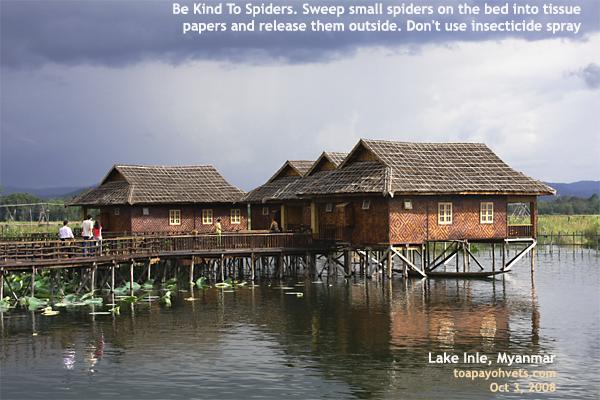 Myanmar, Inle Lake Golden Island Cottages, visit in Oct 2008, designtravelpl.com, singapore tourists first time 