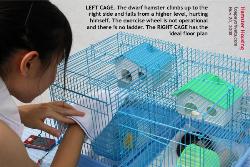 Hamster cages sold in Singapore. Toa Payoh Vets