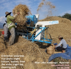 The threshing machine takes out much drudgery out of farm labour. Kachin State, Myanmar, Toa Payoh Vets