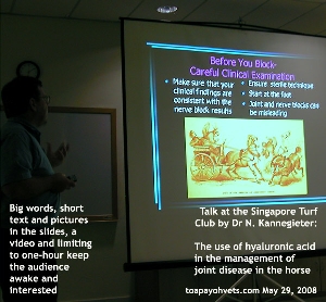 Dr Nicholas Kannegieter's talk on the use of hyaluronic acid in horses. Toa Payoh Vets